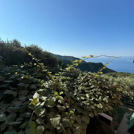 Ca' Dii Buersa 2 - Homy 5 Terre *